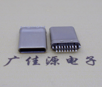 type c16p拉伸插頭/公頭,夾0.8板過(guò)大電流 type c16p拉伸插頭/公頭,夾0.8板過(guò)大電流