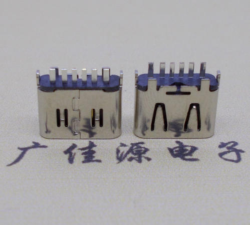 usb type c6pin立式插母頭